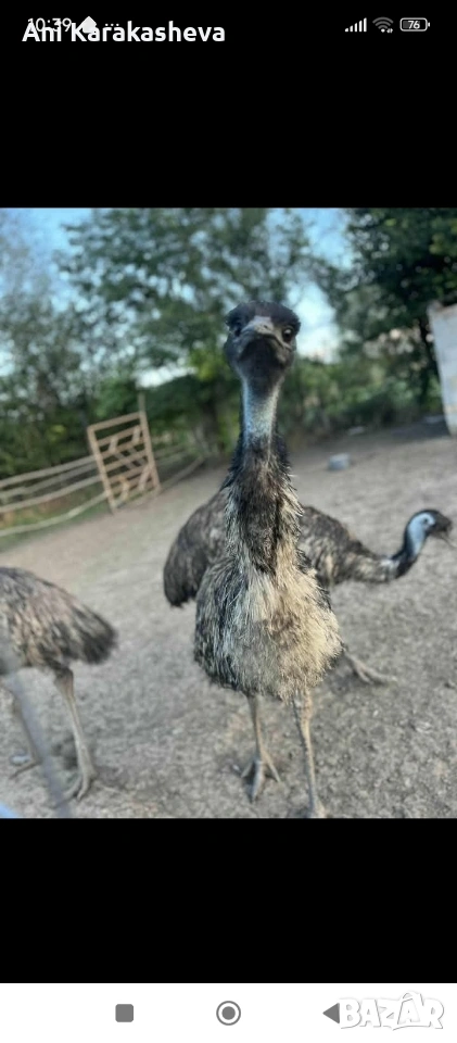 мъжко ему, снимка 1