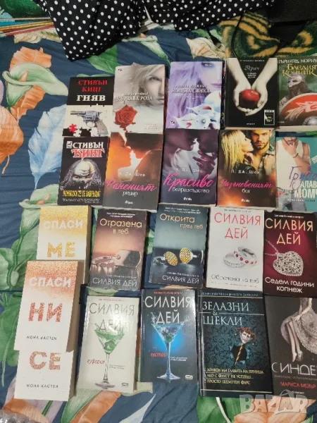 Голямо разнообразие от книгин, снимка 1