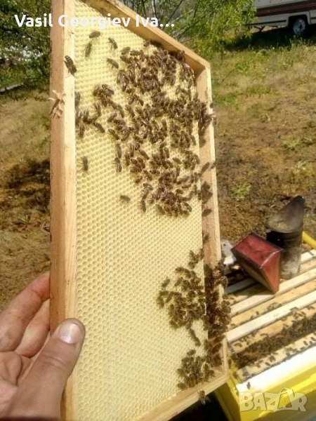 Восъчни основи ДБ, снимка 1