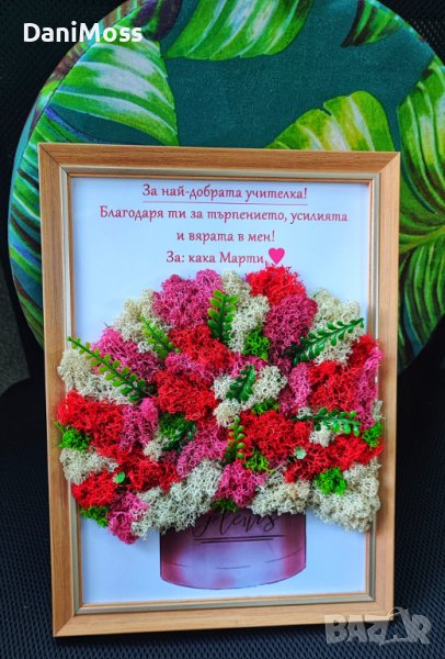 Подарък за учител със скандинавски мъх - жива картина, снимка 1