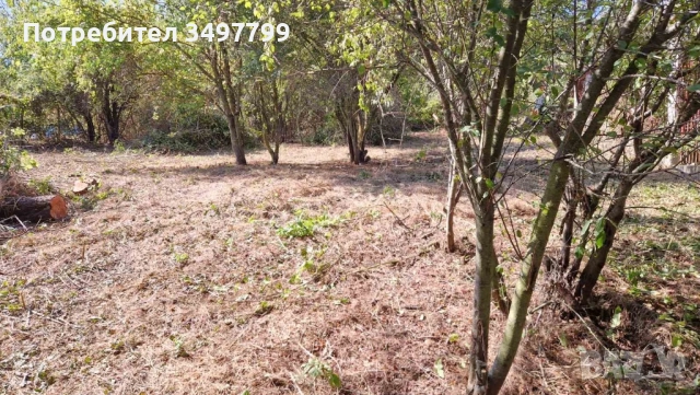 Продавам парцел в село Староселец, Варненска област, снимка 2 - Парцели - 51802806