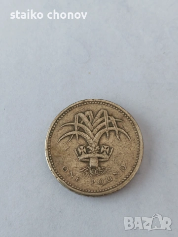 Английски паунд Елизабет II, снимка 2 - Нумизматика и бонистика - 53823057