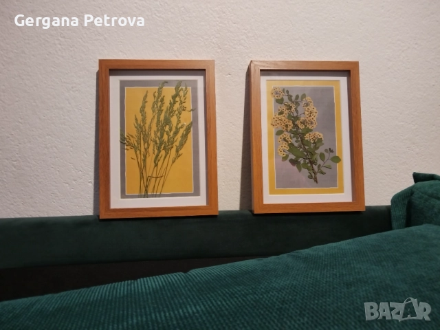 Комплект 2 бр. дървени рамки със стъкло с естествен хербарий., снимка 4 - Картини - 52140791