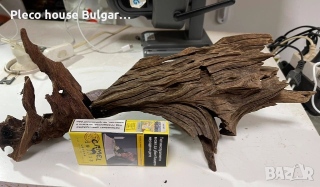 7 последни мангрови корена ,цена за всички 50 евро