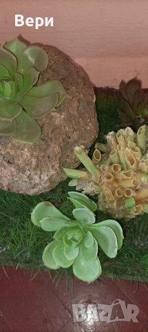 домакински прибори , снимка 5 - Декорация за дома - 40761239