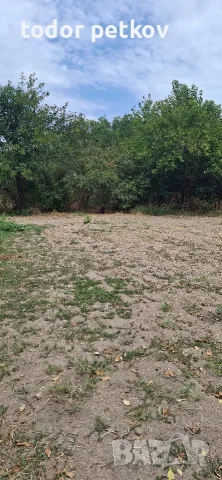 Дворно място в село Манолско Конаре , снимка 13 - Парцели - 56149259