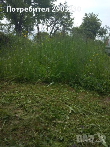  Косене на Трева и почистване на дворове от  Бурени Рязане на Дърва за Огрев , снимка 5 - Други - 36622750