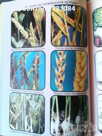 Растително - защитен календар / Васил Малинов, снимка 5 - Специализирана литература - 38725537