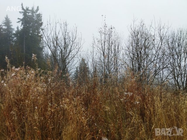 Продава парцел в к.к. Пампорово , снимка 5 - Парцели - 34851745