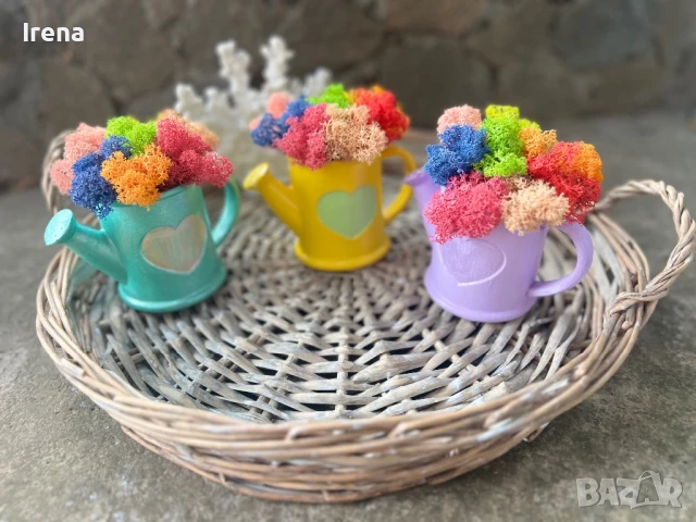 Кашпи със скандинавски мъх 8,50