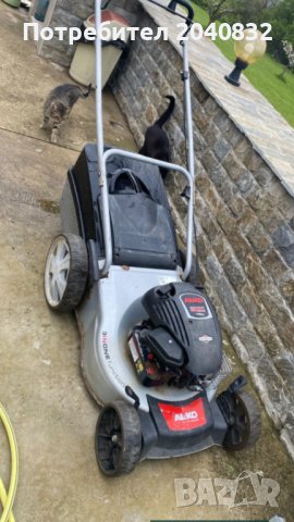 Косене на тревни площи , снимка 2 - Градински цветя и растения - 37147540