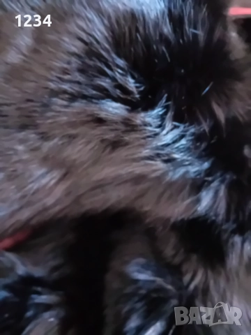 Разкошно дълго палто от черна лисица бутиково/Разкроен модел с вталяване и , снимка 10 - Палта, манта - 52524109