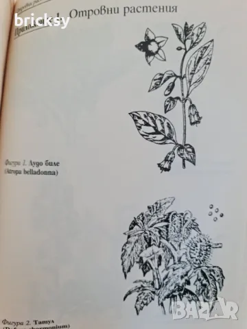 Рядко издание Остри отравяния за общопрактикуващи лекари и студенти, снимка 3 - Специализирана литература - 49004325