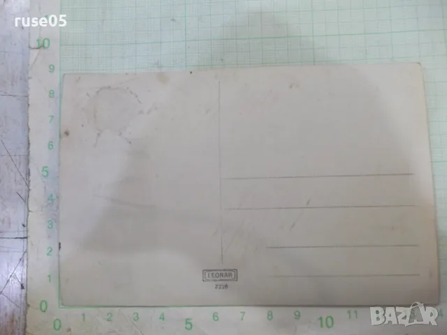 Снимка стара на излет в покрайнините, снимка 2 - Колекции - 48002156