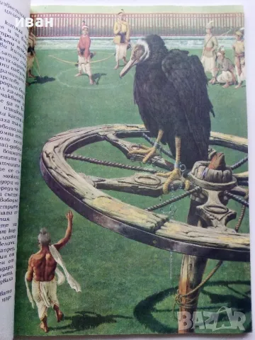 Индийски приказки - 1981г. Илюстрации Серджо Ризато , снимка 5 - Детски книжки - 49269570