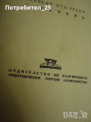 Просто любов - Ванда Василевска, снимка 7 - Художествена литература - 49002014