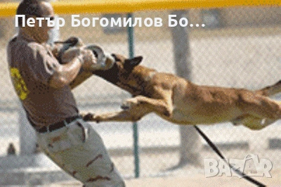 ВСИЧКО ЗА ДРЕСИРОВКАТА НА КУЧЕТА - ОБЩА, СПЕЦИАЛНИ И РАЗВЛЕКАТЕЛНИ ДРЕСУРИ