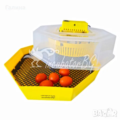 Инкубатори с влагомер Официалният вносител за БГ Cleo 5/Клео 5., снимка 4 - За селскостопански - 38693261