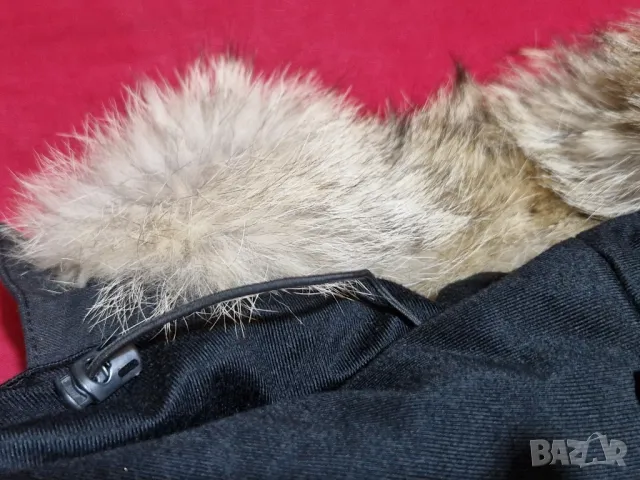 CANADA GOOSE, XS, р-р, ПУХ,без забележки, снимка 6 - Якета - 48650679