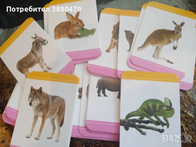 карти с животни, снимка 2 - Образователни игри - 44372598