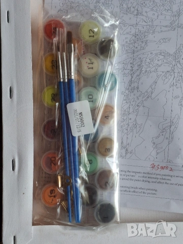 Картина за рисуване по номера, снимка 5 - Картини - 53593048