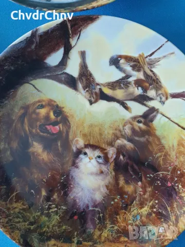 9бр Seltmann/ЗЕЛТМАН Бавария немска колекционерска декоративна порцеланова чиния-картина/животни, снимка 4 - Картини - 48371239