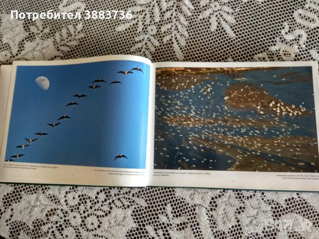 България от птичи поглед-фото албум Ал.Иванов, снимка 6 - Енциклопедии, справочници - 44447200