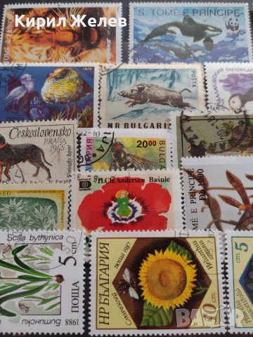 ПОЩЕНСКИ МАРКИ смесени ЖИВОТНИ,ЦВЕТЯ,ГЪБИ от цял свят за КОЛЕКЦИЯ 22600, снимка 3 - Филателия - 40316204