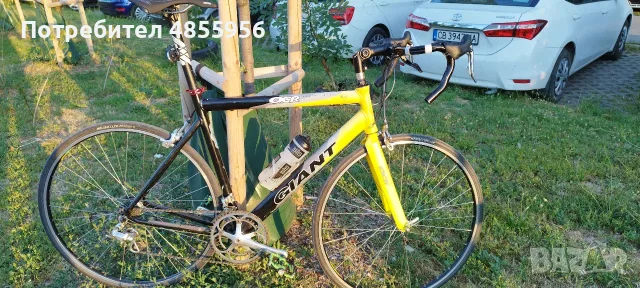 Giant OCR  -  Team ONCE 2004 - Compagniolo 