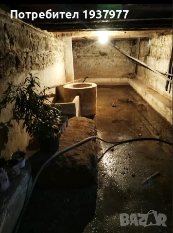 Продавам къща с Белица общ Трявна, снимка 14 - Къщи - 55954458