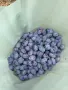 Сини сливи сорт Стенлей за ракия или сладко, снимка 3