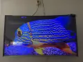 Tv samsung 42inc Smart, снимка 1
