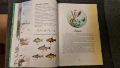 Детски книжки на руски език , снимка 17