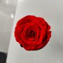 Вечна естествена роза в стъкленица, снимка 16