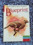Учебник по английски език blueprint 1, снимка 1 - Учебници, учебни тетрадки - 36103444