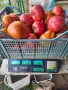 Продавам вкусни домати, снимка 1
