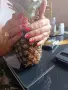 Маникюр в домашни условия , снимка 3