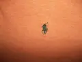 Блуза POLO-R.LAUREN  мъжка,2-3ХЛ, снимка 2