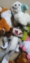 плюшени играчки, снимка 4