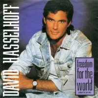 Грамофонни плочи David Hasselhoff – Freedom For The World 7" сингъл, снимка 1 - Грамофонни плочи - 44375890