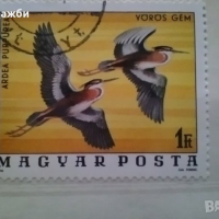 Красива колекция Унгарски пощенски марки с птици 1976 г., снимка 4 - Филателия - 44673128