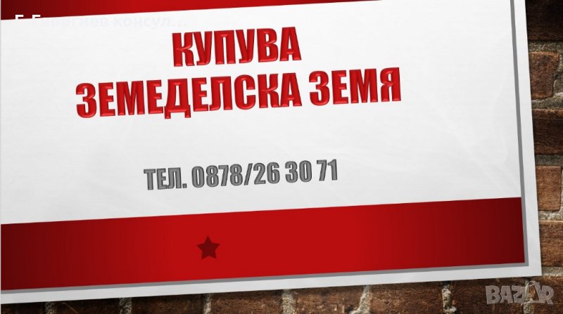 Ниви общ.Брегово, снимка 1