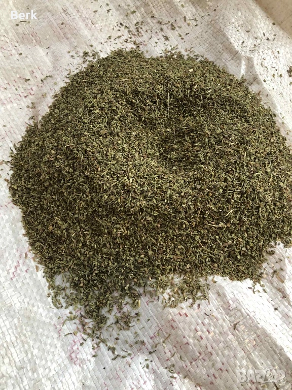 Чубрица реколта 2024, снимка 1