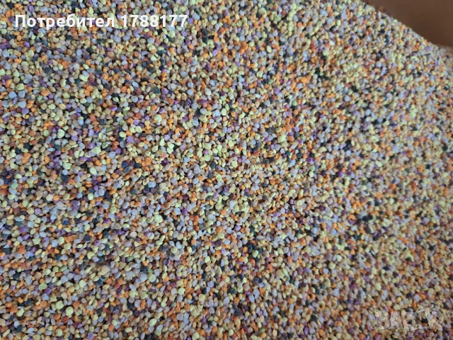 Пчелен прашец , снимка 4 - Пчелни продукти - 51317272