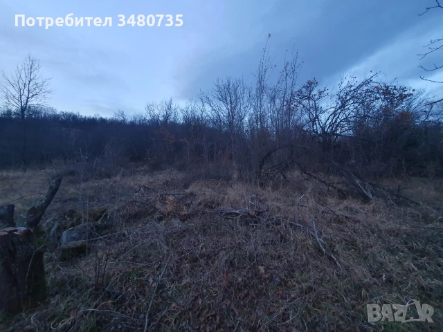 Къща в с Липница на 60км от София , снимка 5 - Къщи - 50758970