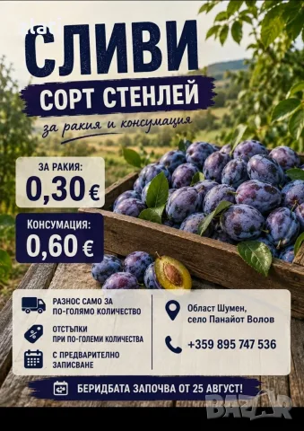 Сини сливи Стенлей