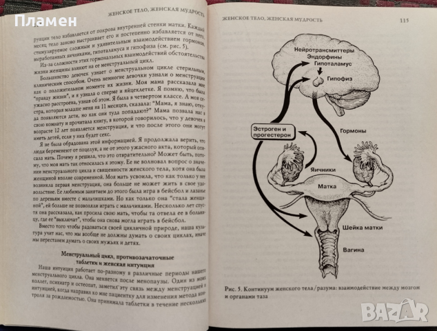 Женское тело, женская мудрость Кристиан Нортроп, снимка 7 - Специализирана литература - 44826160