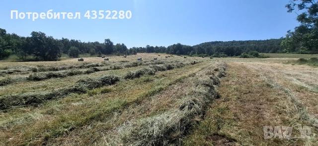 Бали ливадно сено ., снимка 4 - За селскостопански - 50734711