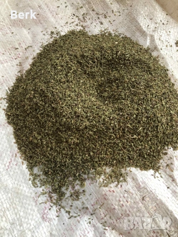 Чубрица реколта 2024