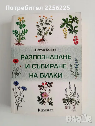 Разпознаване и събиране на билки